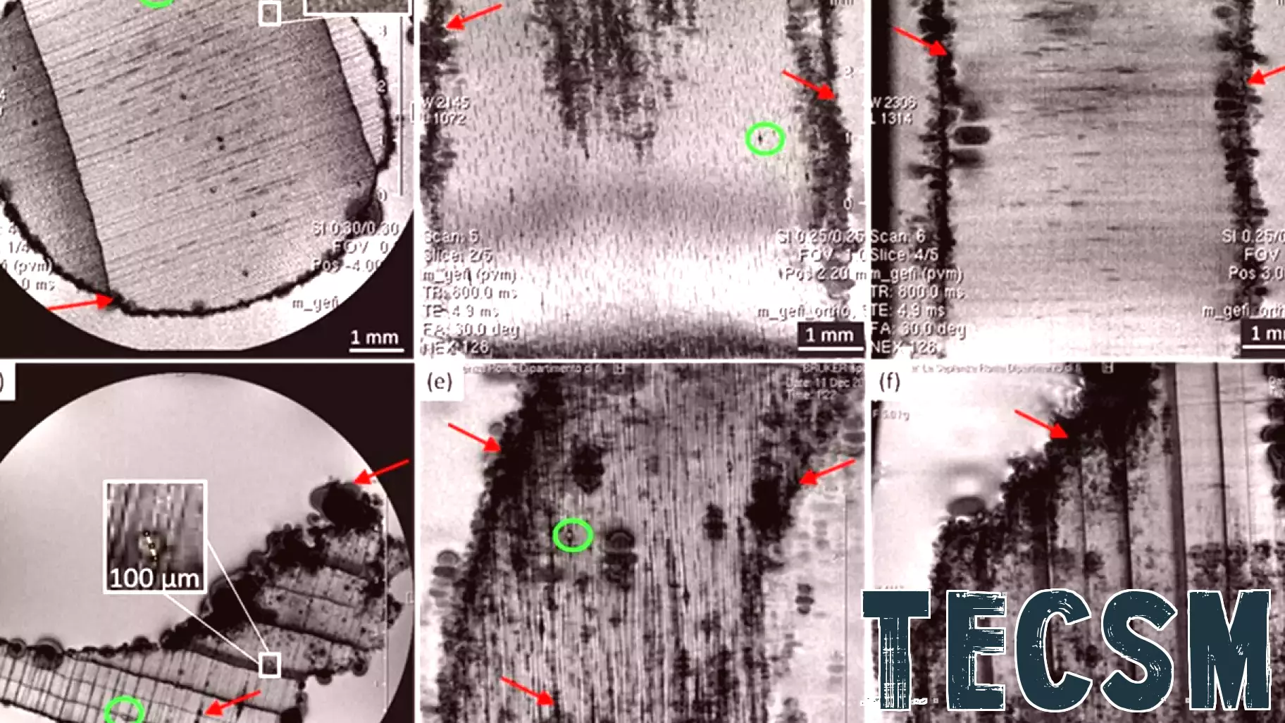 Advanced Imaging Techniques Reveal Secrets of Ancient Roman Harbor Structures