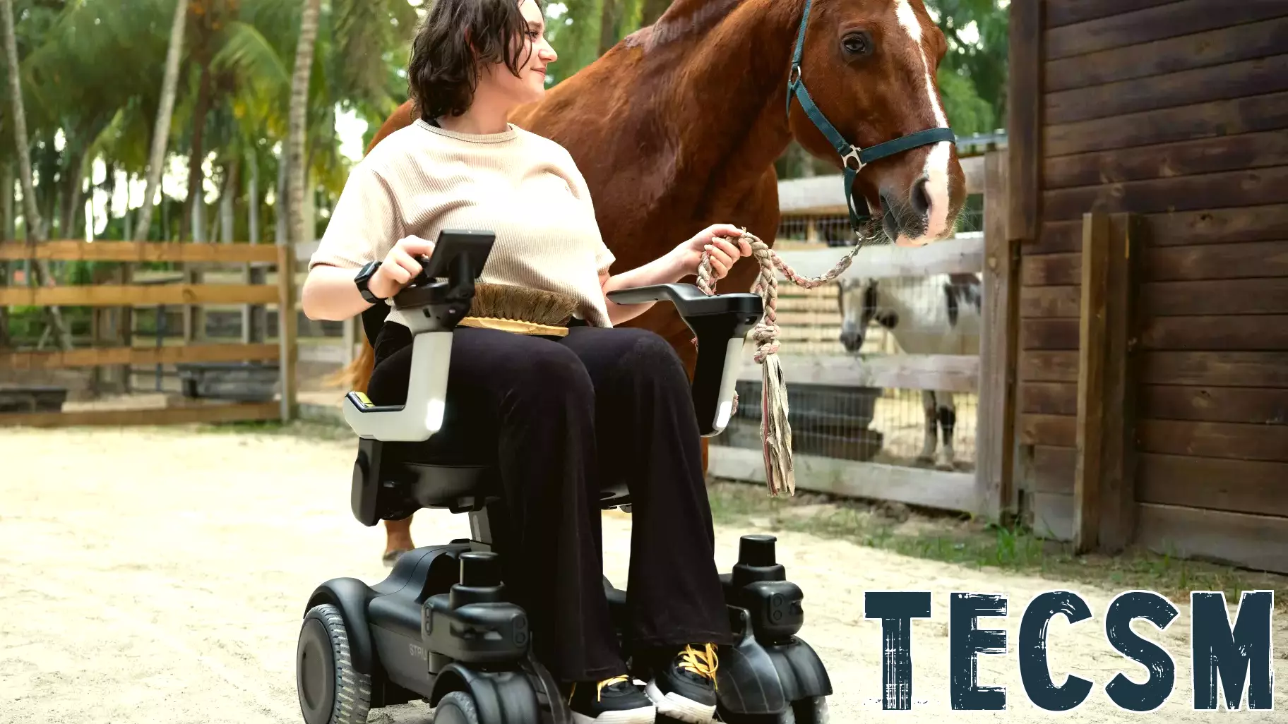 Assistive Technology: Navigate Safely With Strutt EV1