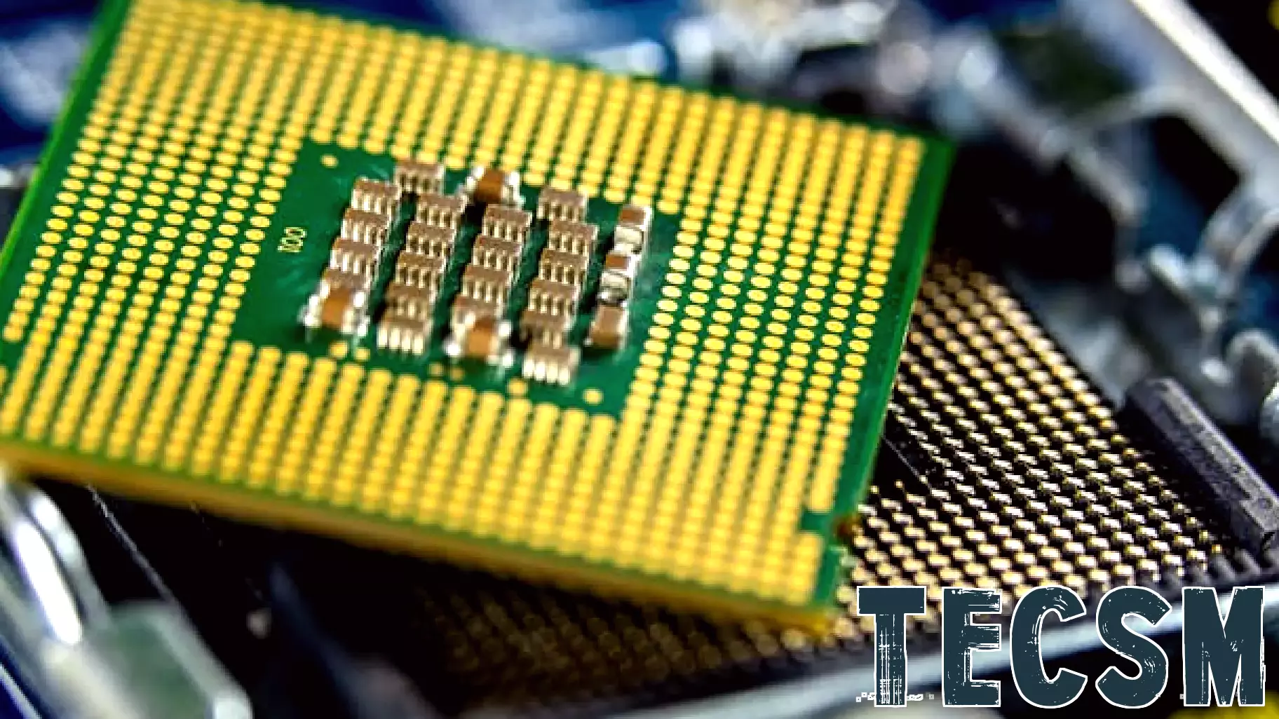 Credo Technology Group Holding Ltd (CRDO) Draws Attention Amid Analyst Coverage and Industry Developments