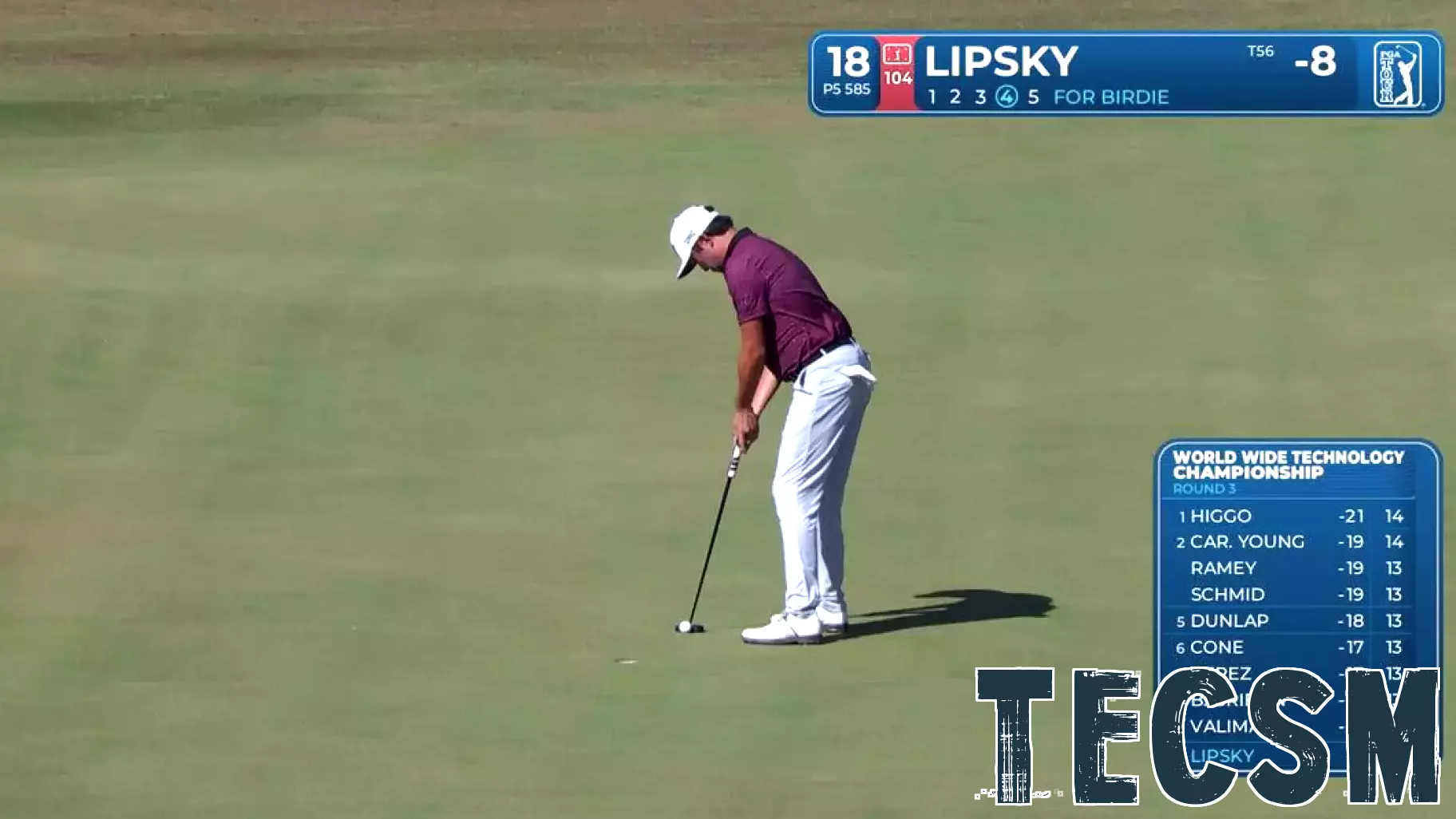 David Lipsky Achieves Birdie on Final Hole at World Wide Technology Championship