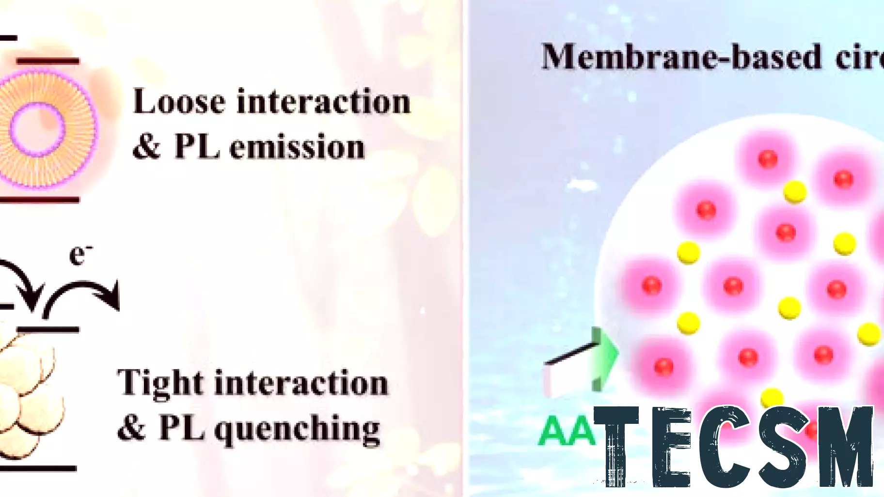 Innovative Solar Hydrogen Production Technology Inspired by Nature