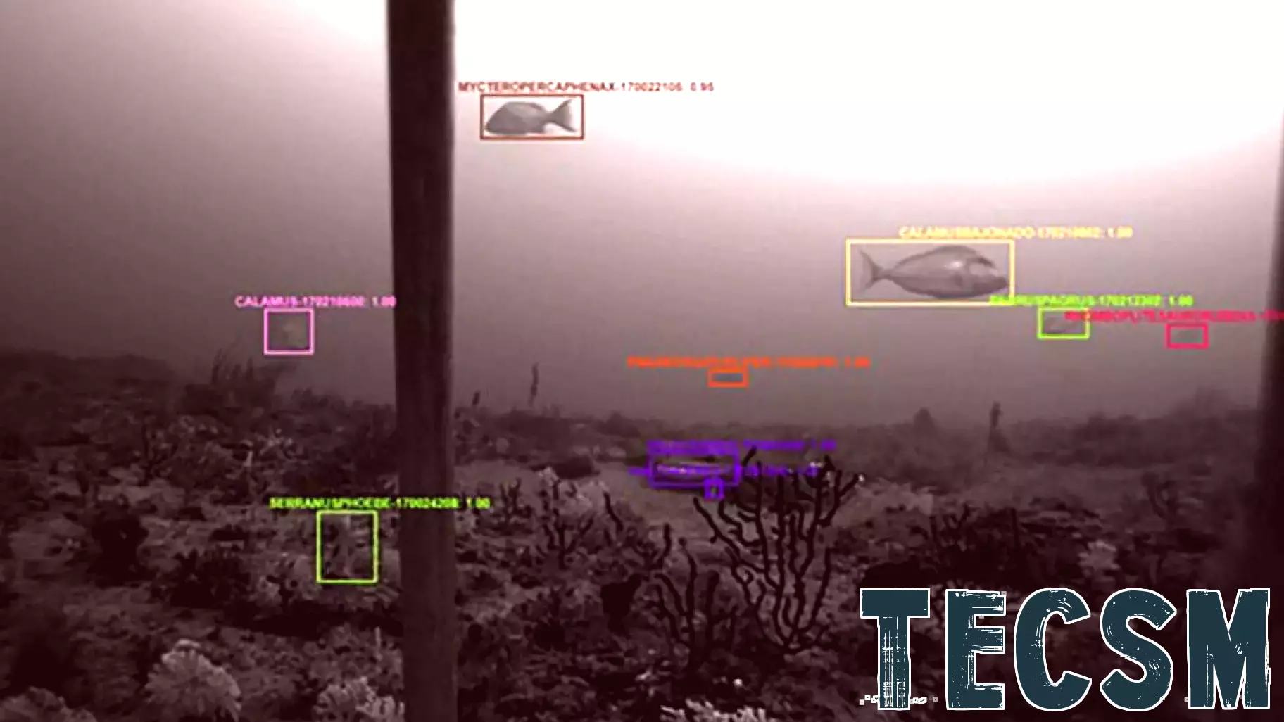 Innovative Technologies Enhance Monitoring of the Gulf of America