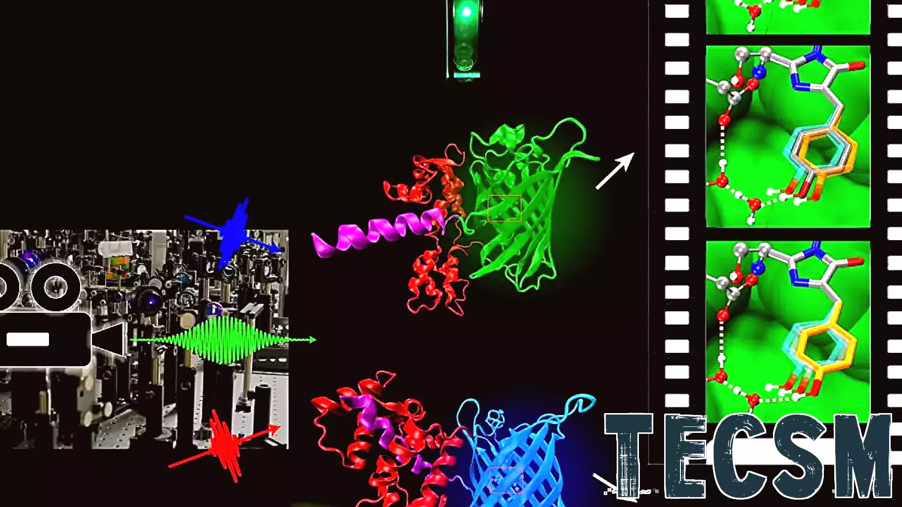 'Molecular movie' technology reveals a better way to thwart environmental pollutant