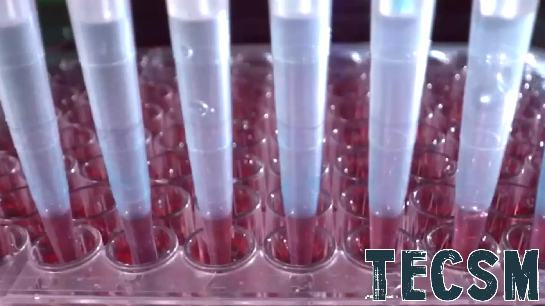 Montgomery County Enhances Crime Solving with Rapid DNA Technology Pilot Program