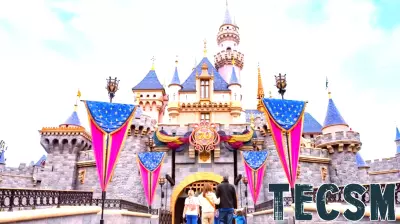 Disneyland Offers Guests the Choice to Bypass Facial Recognition at Park Gates