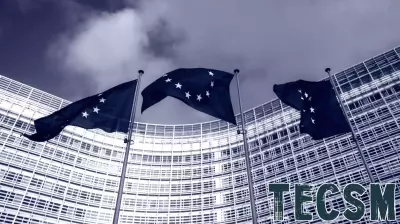 EU's AI 'guardrails' cannot absorb rapid changes in technology, study warns