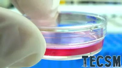 Innovative Microfluidics Technology Paves the Way for Organ Repair and Regeneration