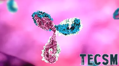 Innovative PathoPlex Technology Reveals Protein Distribution in Human Organs