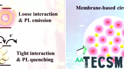 Innovative Solar Hydrogen Production Technology Inspired by Nature