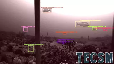 Innovative Technologies Enhance Monitoring of the Gulf of America