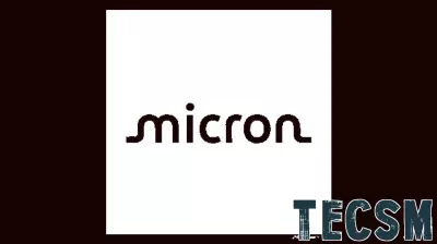 Micron Technology Stock (MU) Opinions on Trump's Rally Endorsement