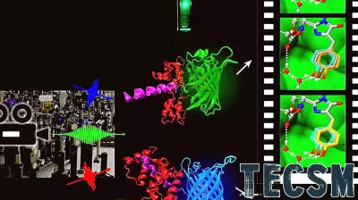 'Molecular movie' technology reveals a better way to thwart environmental pollutant