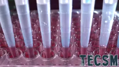 Montgomery County Enhances Crime Solving with Rapid DNA Technology Pilot Program