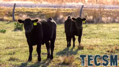 Revolutionizing Grazing Practices with Technology