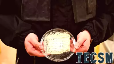 UT austin researchers develop a jacket that pulls drinkable water from the air